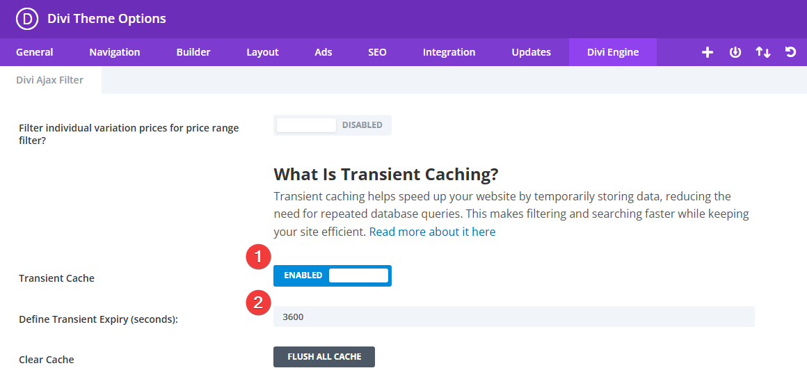Transient Cache Settings