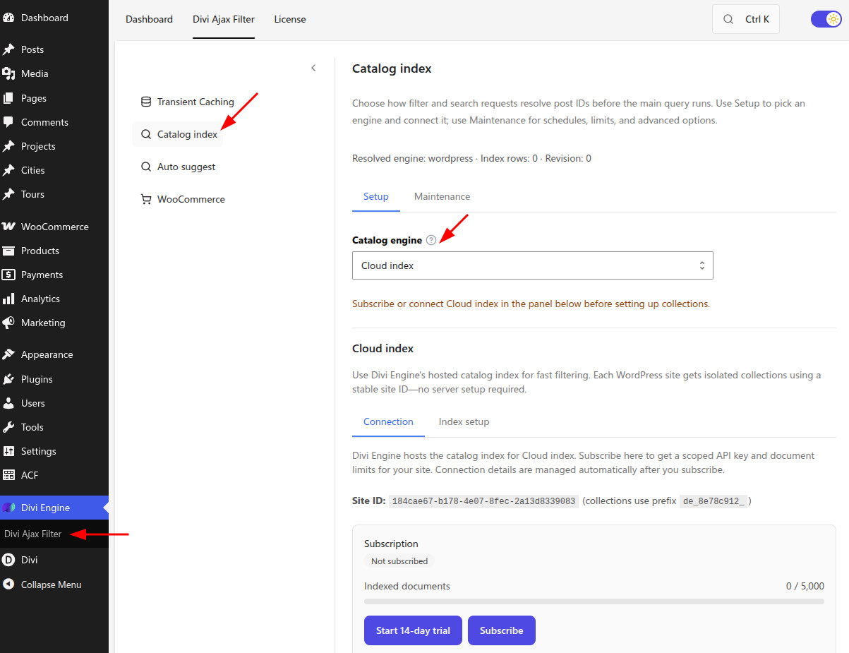 Catalog Index Setup