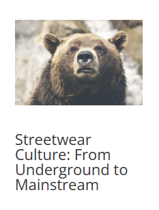 Flip image ACF field option