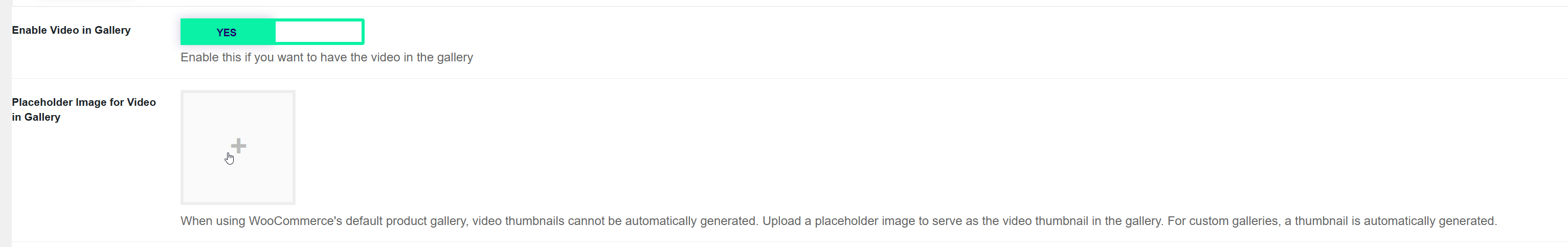 Enabling videos in pproduct galleries